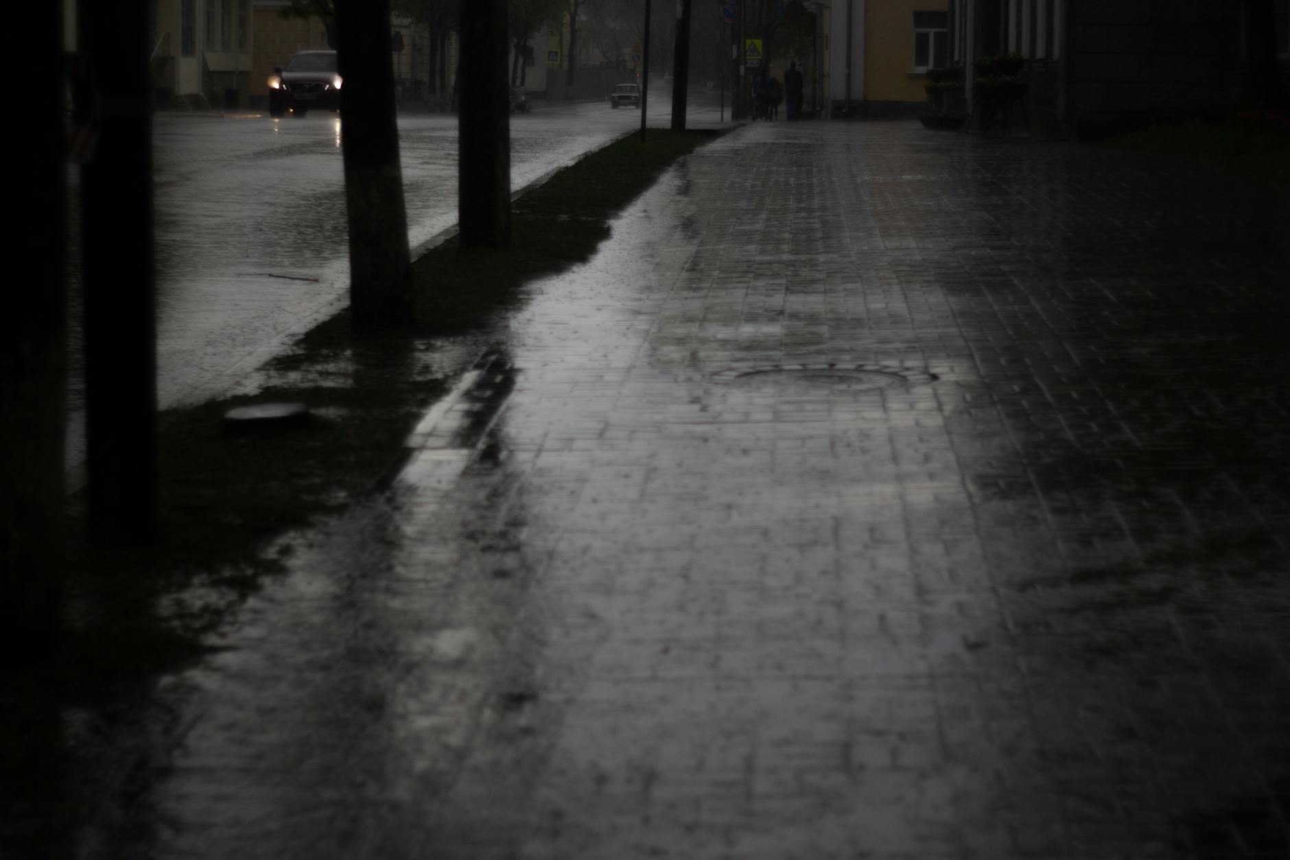 wet pavement during rain at dusk